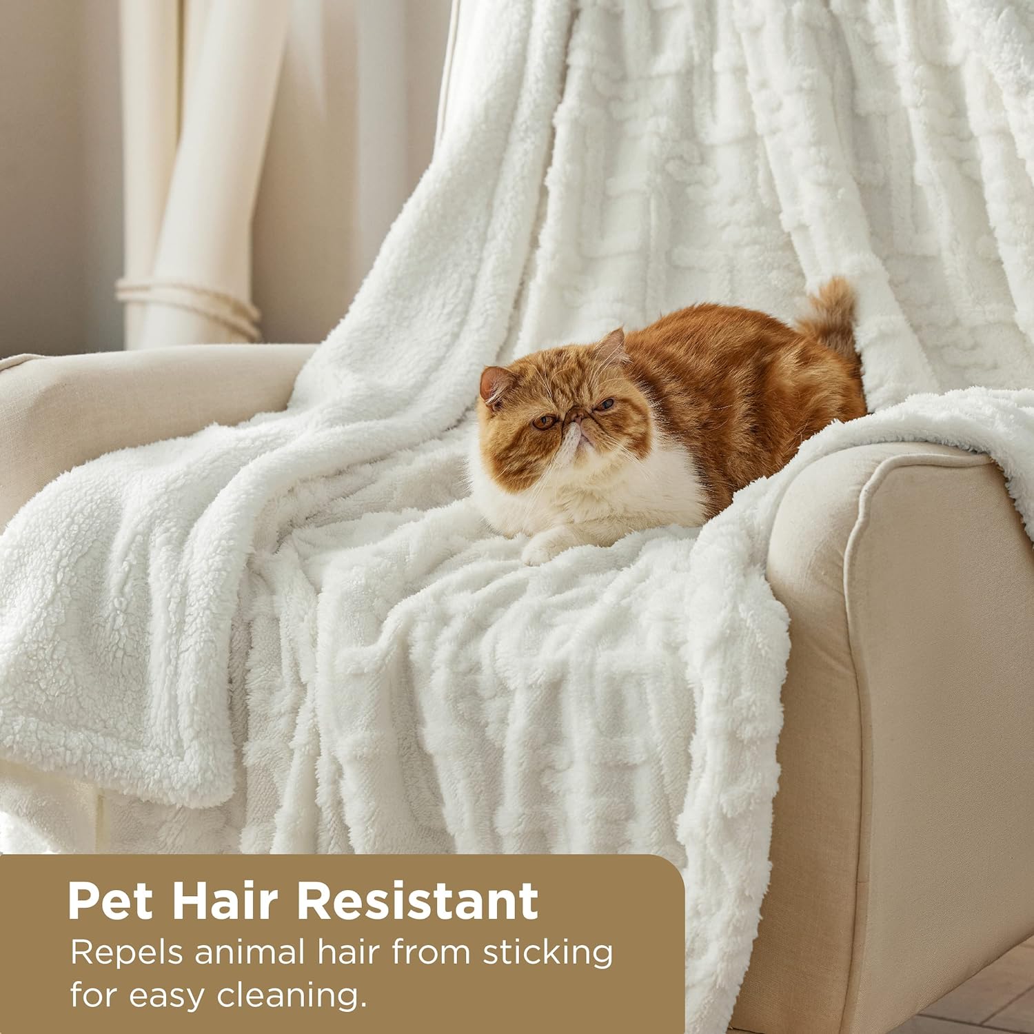 BEDSURE Kuscheldecke Decke Sofa Strickdecke - Wohndecken kuscheldecken Kleine 130x150, Sofadecke Doppelgesicht Extra Weich, Kuscheldecke Flauschig BEDSURE Kuscheldecke Decke Sofa Strickdecke - Wohndecken kuscheldecken Kleine 130x150, Sofadecke Doppelgesicht Extra Weich, Kuscheldecke Flauschig